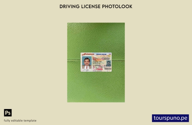 listo para imprimir Plantilla FRONTAL de aspecto fotográfico de licencia de cond