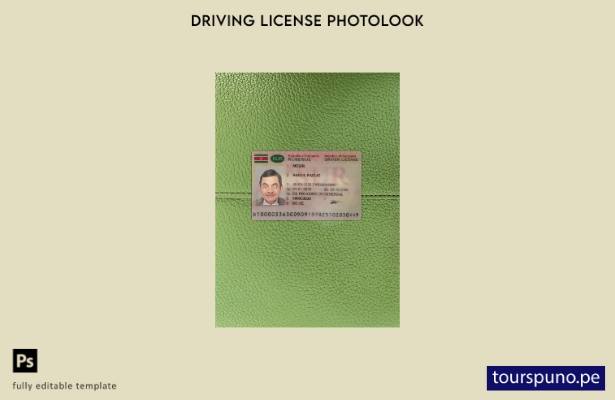 listo para imprimir licencia de conducir de Surinam presente plantilla frontal d