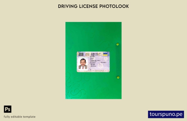 listo para imprimir licencia de conducir de Ucrania presente fotolook plantilla