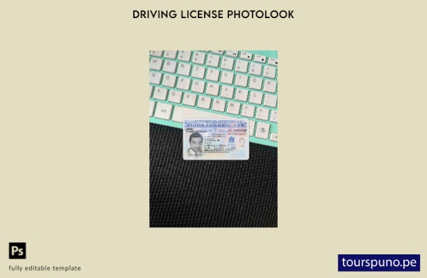 listo para imprimir plantilla FRONTAL de aspecto fotográfico del permiso de c 14