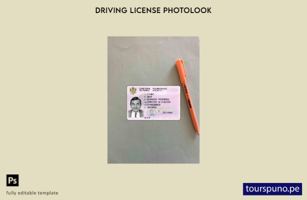 listo para imprimir plantilla FRONTAL de fotolook del permiso de conducir de Mon