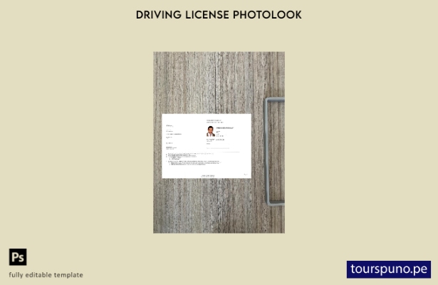 listo para imprimir plantilla de aspecto fotográfico de permiso de conducir temp