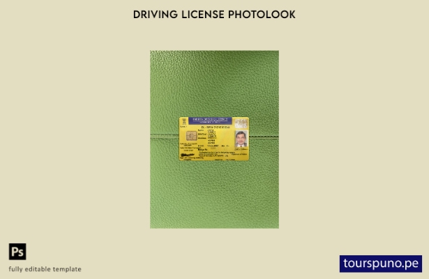 listo para imprimir plantilla frontal de aspecto fotográfico del permiso de c 22