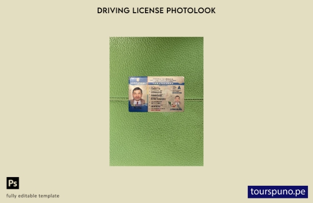 listo para imprimir plantilla frontal de aspecto fotográfico del permiso de c 38