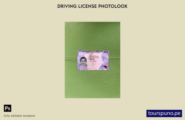 listo para imprimir plantilla frontal de aspecto fotográfico del permiso de co 9