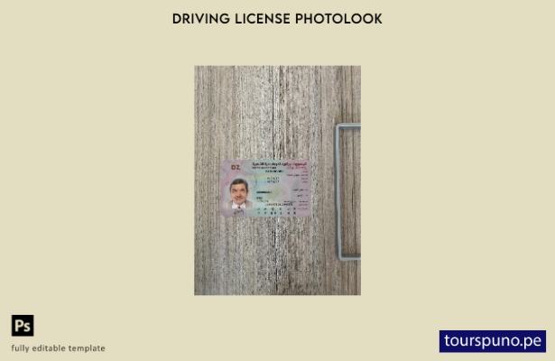 listo para imprimir plantilla frontal de aspecto fotográfico del permiso de cond