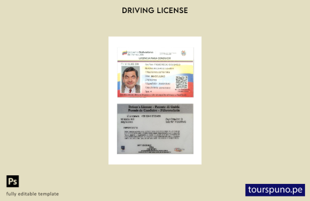 Plantilla actual de licencia de conducir de Venezuela lista para imprimir