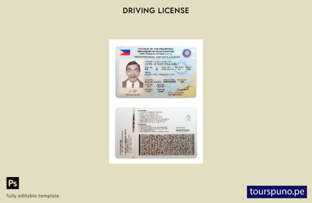 Plantilla de licencia de conducir de Filipinas lista para imprimir