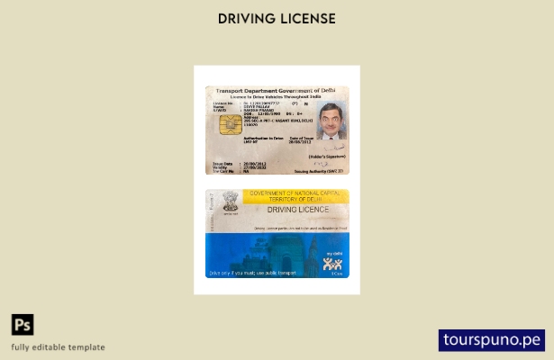 Plantilla de licencia de conducir de India Delhi lista para imprimir