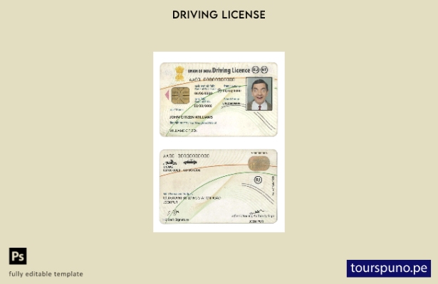 Plantilla de licencia de conducir de India lista para imprimir