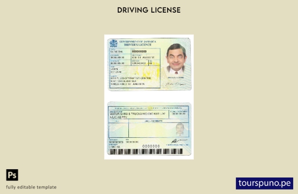 Plantilla de licencia de conducir de Jamaica lista para imprimir