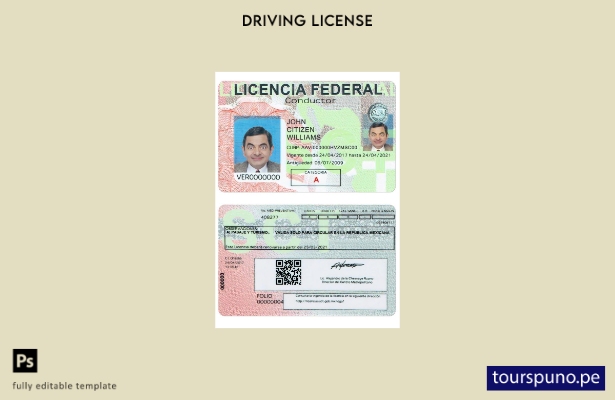 Plantilla de licencia de conducir de México lista para imprimir