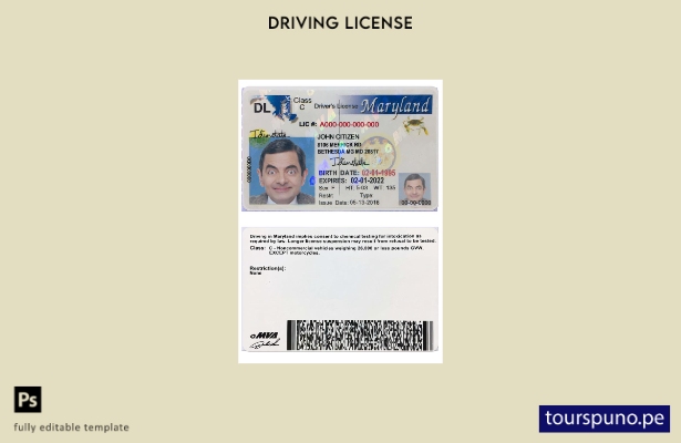 Plantilla de licencia de conducir de Maryland de EE. UU. lista para imprimir