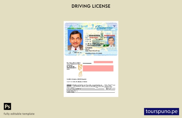 Plantilla de licencia de conducir de Tennessee de EE. UU. lista para imprimir