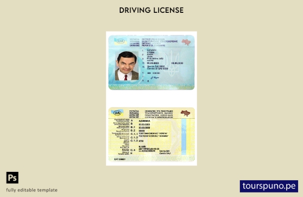 Plantilla de licencia de conducir de Ucrania lista para imprimir