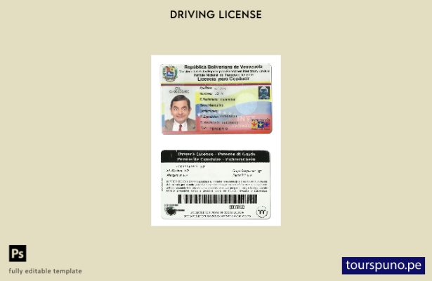 Plantilla de licencia de conducir de Venezuela lista para imprimir