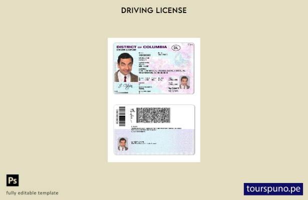 Plantilla de licencia de conducir del Distrito de Columbia de EE. UU. lista para