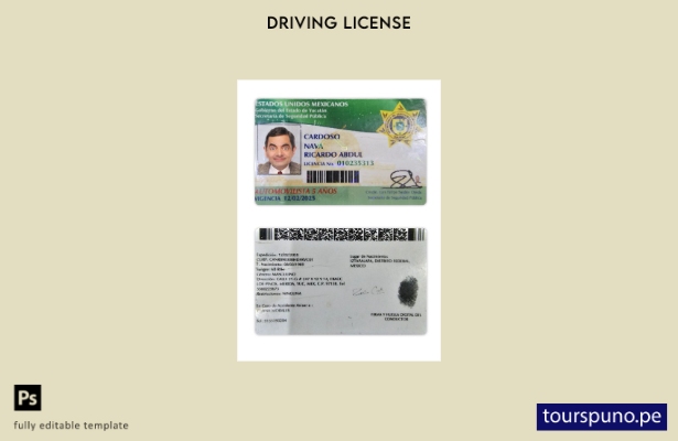 Plantilla de licencia de conducir del estado de Yucatán, México, lista para impr