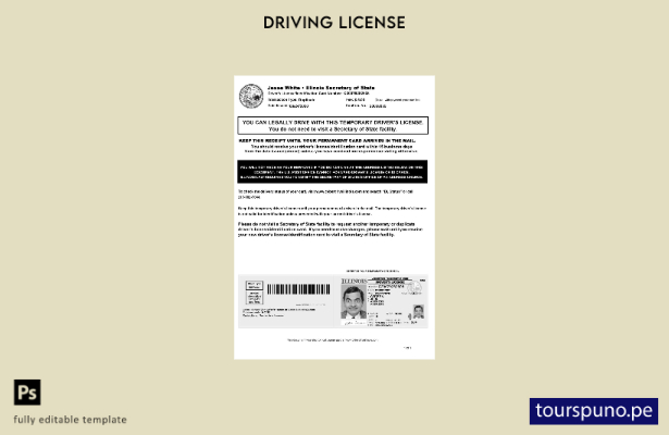 lista para imprimir plantilla de licencia de conducir temporal de EE. UU. Illino