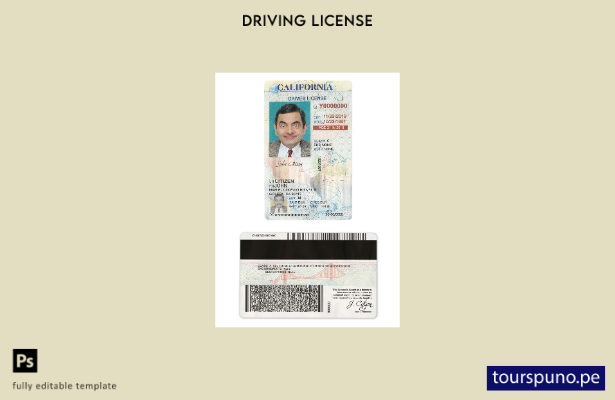 listo para imprimir el permiso de conducir de California de EE. UU. bajo plantil