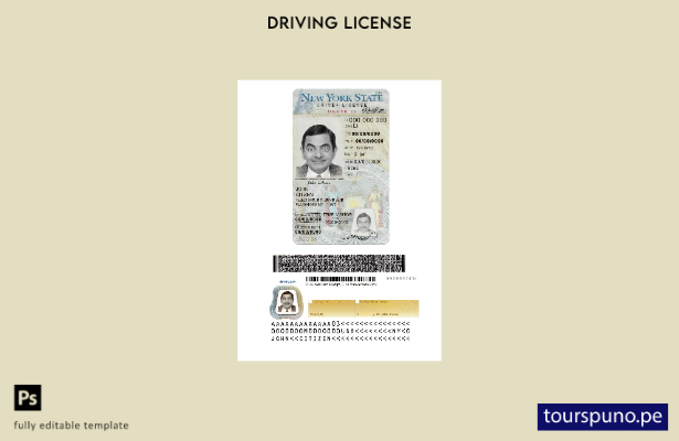 listo para imprimir el permiso de conducir de Nueva York de EE. UU. bajo plantil