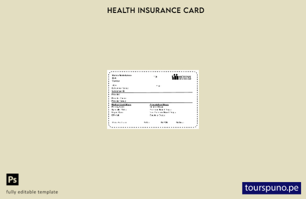 lista para imprimir plantilla de tarjeta de seguro médico de USA Molina HealthCa