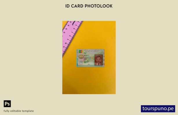 Plantilla FRONTAL lista para imprimir con aspecto fotográfico de identificació 6