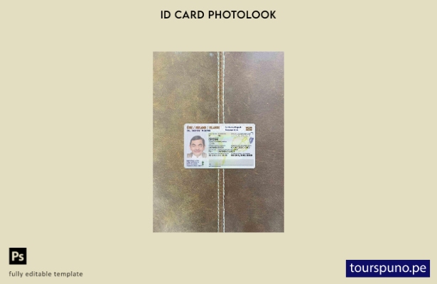 Plantilla FRONTAL lista para imprimir con aspecto fotográfico de identificaci 12