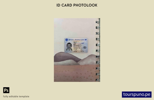 Plantilla FRONTAL lista para imprimir con aspecto fotográfico de identificaci 16