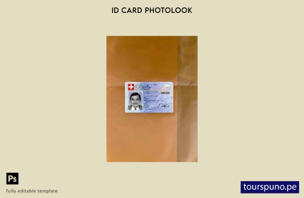Plantilla FRONTAL lista para imprimir con foto de identificación de Suiza