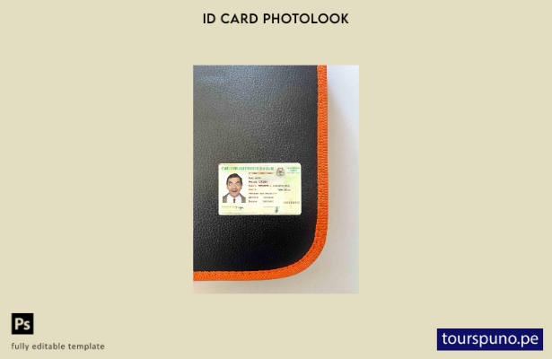 listo para imprimir plantilla FRONTAL de aspecto fotográfico de identificación 2