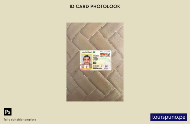 listo para imprimir plantilla FRONTAL de aspecto fotográfico de tarjeta de id 33