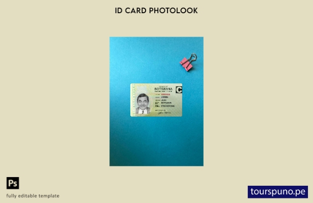 listo para imprimir plantilla frontal de aspecto fotográfico de tarjeta de ide 2