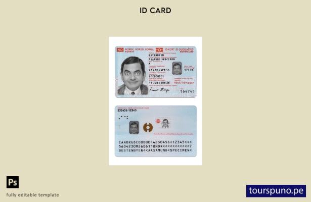 Plantilla actual de tarjeta de identificación de Noruega lista para imprimir