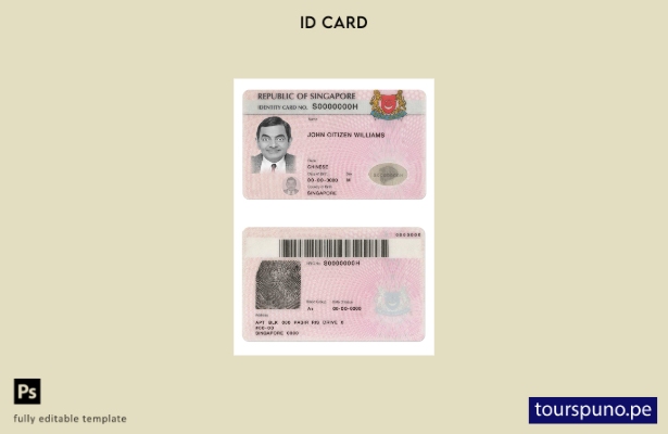 Plantilla de identificación de Singapur lista para imprimir