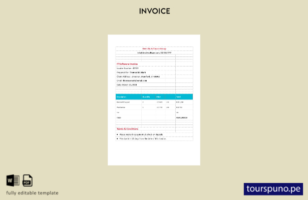 Plantilla de factura de software de TI lista para imprimir