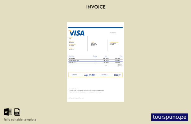 Plantilla de factura de visa de EE. UU. lista para imprimir
