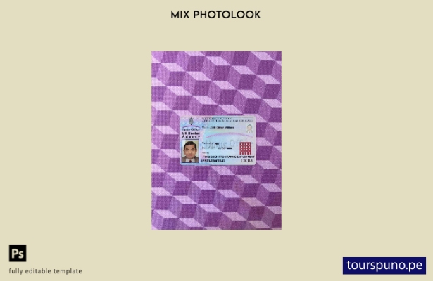 listo para imprimir plantilla FRONTAL de foto de tarjeta de registro de solicitu