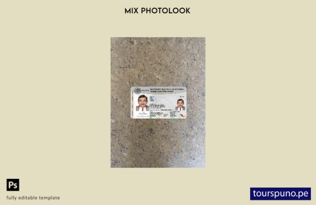 listo para imprimir plantilla FRONTAL del photolook electoral del instituto naci