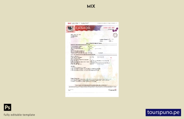 Listo para imprimir la plantilla de página actual del permiso de trabajo de Cana