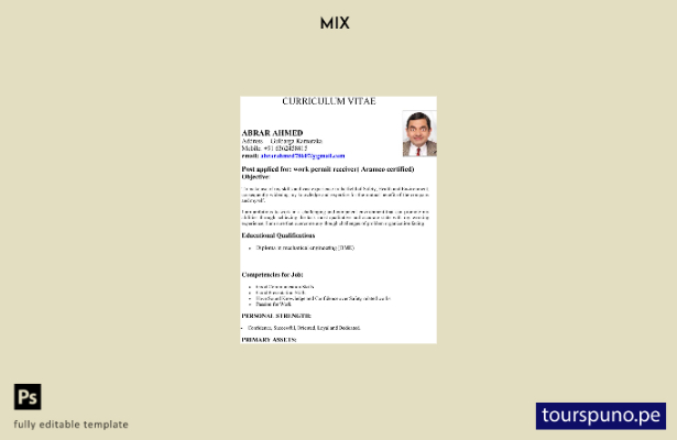 Plantilla de permiso de trabajo de India lista para imprimir