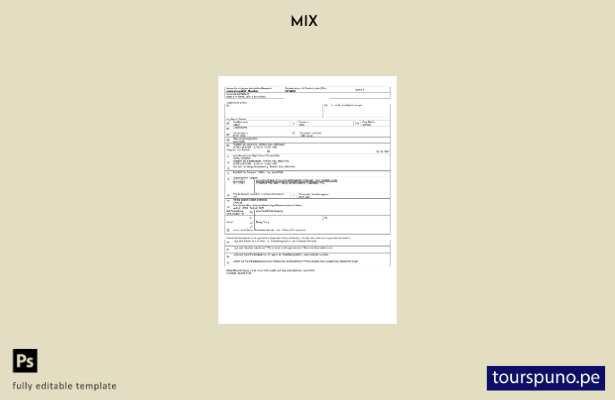 listo para imprimir Plantilla de plantilla de Word y PDF de registro de empresas