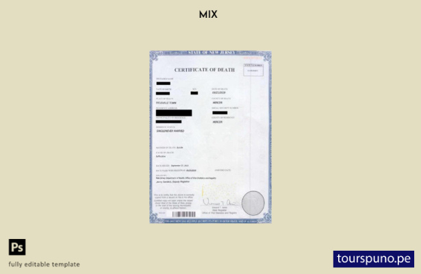 listo para imprimir plantilla de certificado de defunción de la Oficina de Estad