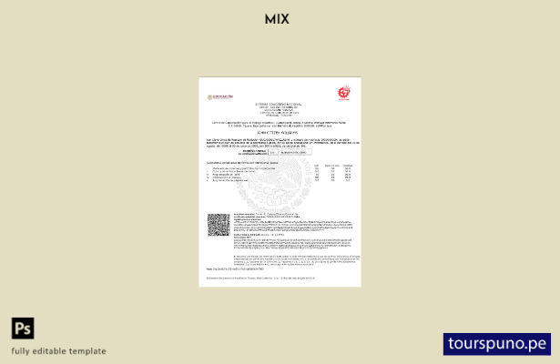 listo para imprimir plantilla del Sistema educativo nacional de México