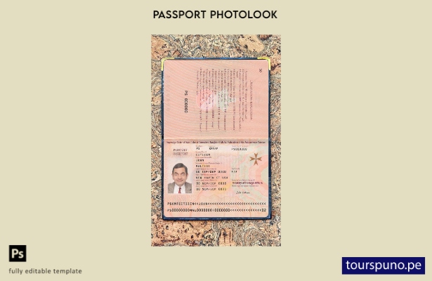 Listo para imprimir la plantilla de aspecto fotográfico actual del pasaporte de
