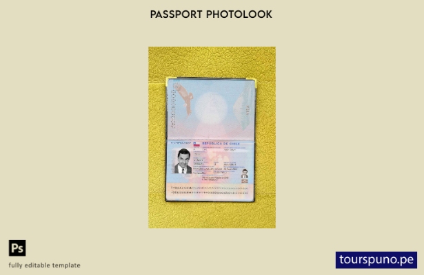 Plantilla de apariencia de foto de pasaporte de Chile lista para imprimir