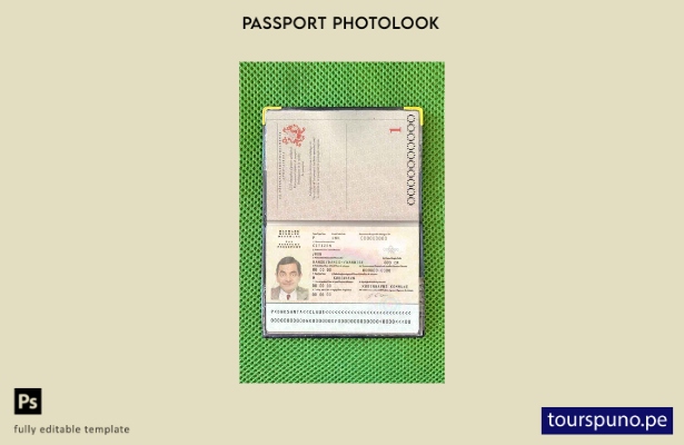 Plantilla de apariencia de foto de pasaporte de Dinamarca lista para imprimir
