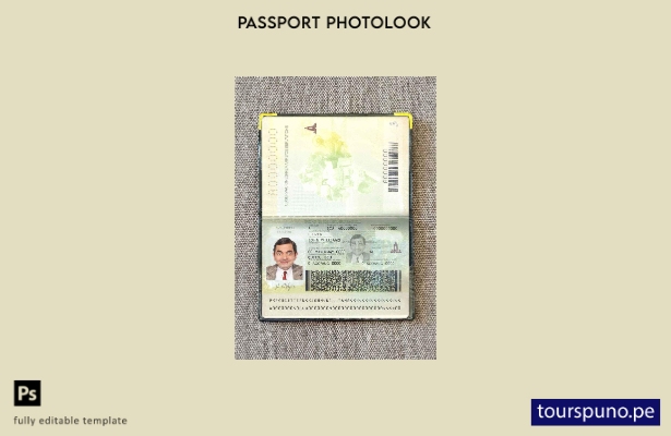 Plantilla de apariencia de foto de pasaporte de Ecuador lista para imprimir