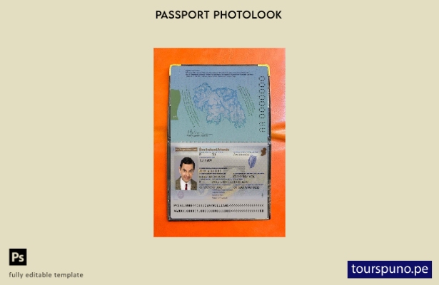 Plantilla de apariencia de foto de pasaporte de Irlanda lista para imprimir
