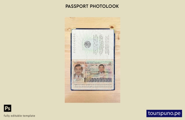 Plantilla de apariencia de foto de pasaporte de México lista para imprimir